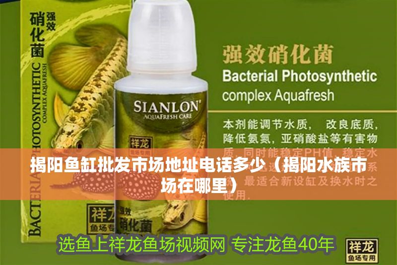 揭陽魚缸批發(fā)市場地址電話多少（揭陽水族市場在哪里）
