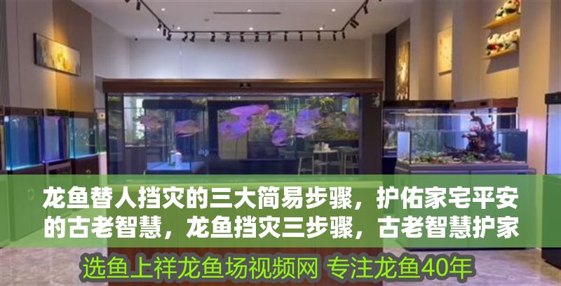 龍魚替人擋災(zāi)的三大簡(jiǎn)易步驟，護(hù)佑家宅平安的古老智慧，龍魚擋災(zāi)三步驟，古老智慧護(hù)家宅平安，龍魚擋災(zāi)三步驟，古老智慧護(hù)家宅平安