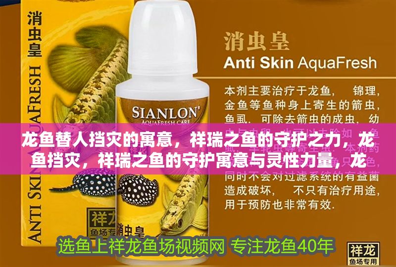 龍魚替人擋災的寓意,祥瑞之魚的守護之力,龍魚擋災,祥瑞之魚的守護寓意與靈性力量,龍魚擋災,祥瑞之魚的守護寓意與靈性力量解析 龍魚百科 第1張 龍魚替人擋災的寓意,祥瑞之魚的守護之力,龍魚擋災,祥瑞之魚的守護寓意與靈性力量,龍魚擋災,祥瑞之魚的守護寓意與靈性力量解析 龍魚替人擋災的寓意,祥瑞之魚的守護之力,龍魚擋災,祥瑞之魚的守護寓意與靈性力量,龍魚擋災,祥瑞之魚的守護寓意與靈性力量解析 龍魚百科 第1張