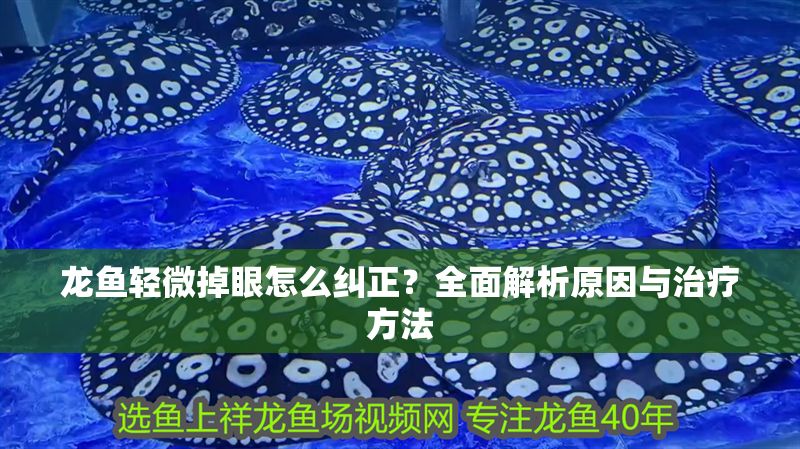 龍魚輕微掉眼怎么糾正？全面解析原因與治療方法