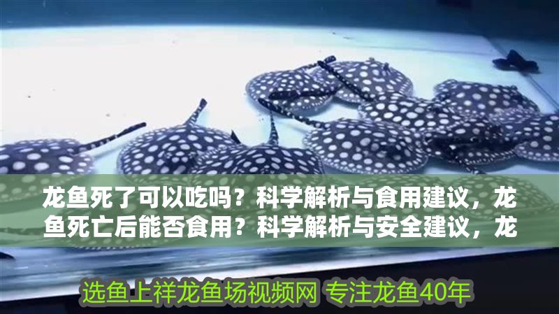 龍魚死了可以吃嗎？科學(xué)解析與食用建議，龍魚死亡后能否食用？科學(xué)解析與安全建議，龍魚死亡后能否食用？科學(xué)解析與安全建議 龍魚死了可以吃嗎？科學(xué)解析與食用建議，龍魚死亡后能否食用？科學(xué)解析與安全建議，龍魚死亡后能否食用？科學(xué)解析與安全建議 龍魚百科 第1張