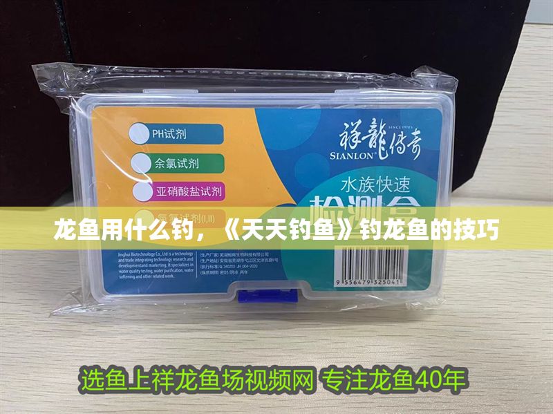 龍魚用什么釣，《天天釣魚》釣龍魚的技巧