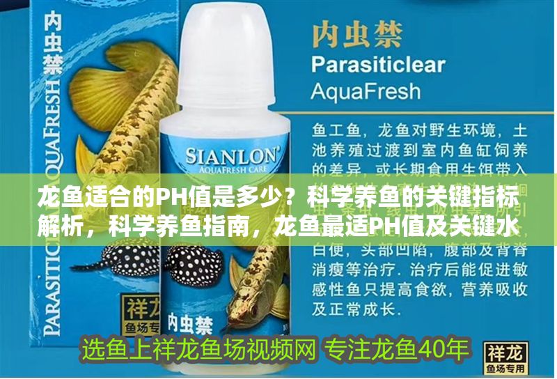 龍魚適合的PH值是多少？科學(xué)養(yǎng)魚的關(guān)鍵指標(biāo)解析，科學(xué)養(yǎng)魚指南，龍魚最適PH值及關(guān)鍵水質(zhì)指標(biāo)解析，龍魚最適PH值及關(guān)鍵水質(zhì)指標(biāo)解析 龍魚適合的PH值是多少？科學(xué)養(yǎng)魚的關(guān)鍵指標(biāo)解析，科學(xué)養(yǎng)魚指南，龍魚最適PH值及關(guān)鍵水質(zhì)指標(biāo)解析，龍魚最適PH值及關(guān)鍵水質(zhì)指標(biāo)解析 龍魚百科 第1張