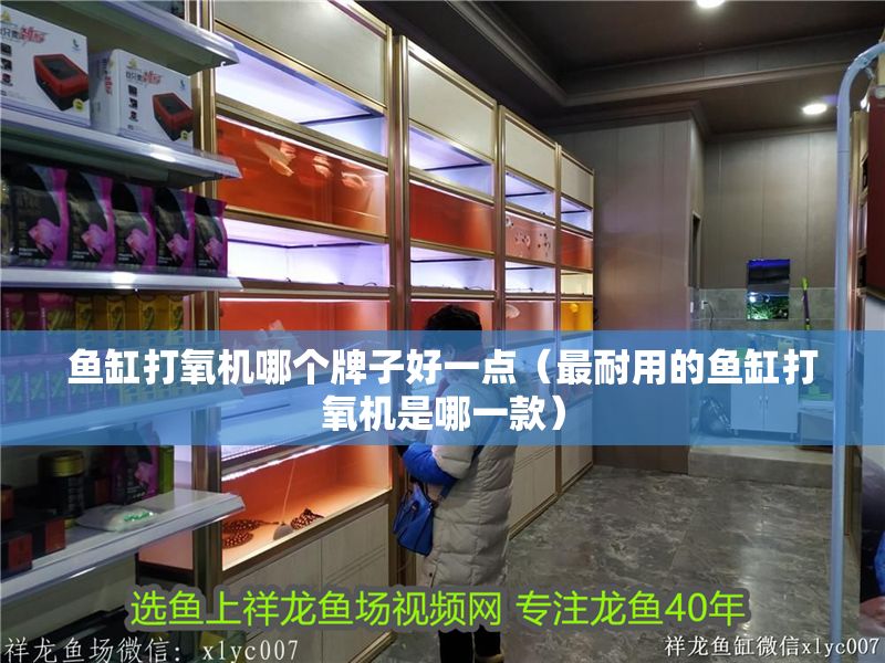 魚缸打氧機哪個牌子好一點（最耐用的魚缸打氧機是哪一款）