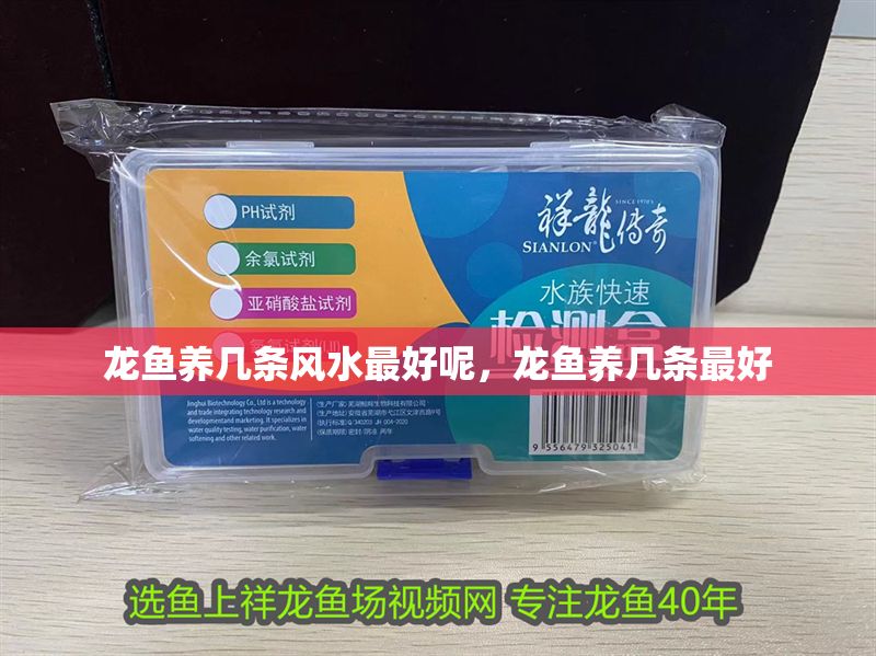龍魚養幾條風水最好呢，龍魚養幾條最好