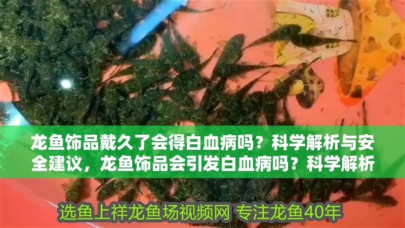 龍魚飾品戴久了會得白血病嗎？科學解析與安全建議，龍魚飾品會引發白血病嗎？科學解析佩戴安全與健康建議，龍魚飾品會引發白血病嗎？科學解析佩戴安全與健康風險