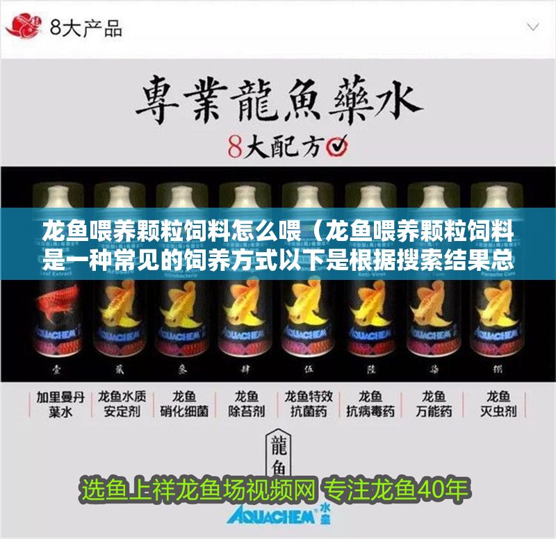 龍魚喂養顆粒飼料怎么喂（龍魚喂養顆粒飼料是一種常見的飼養方式以下是根據搜索結果總結的）