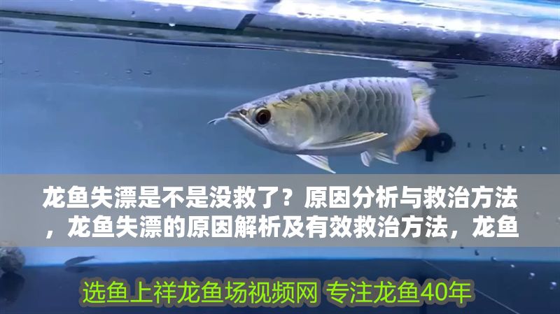 龍魚失漂是不是沒救了？原因分析與救治方法，龍魚失漂的原因解析及有效救治方法，龍魚失漂的原因解析及有效救治方法