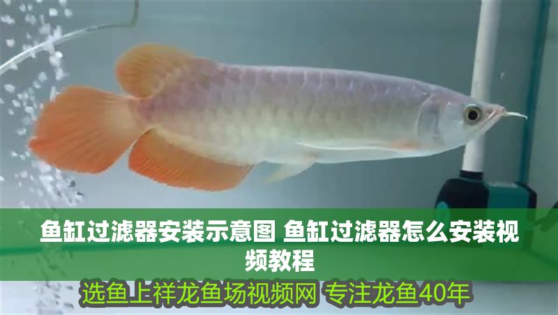 魚缸過濾器安裝示意圖 魚缸過濾器怎么安裝視頻教程