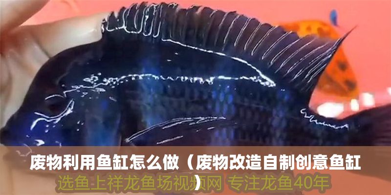 廢物利用魚缸怎么做（廢物改造自制創(chuàng)意魚缸）