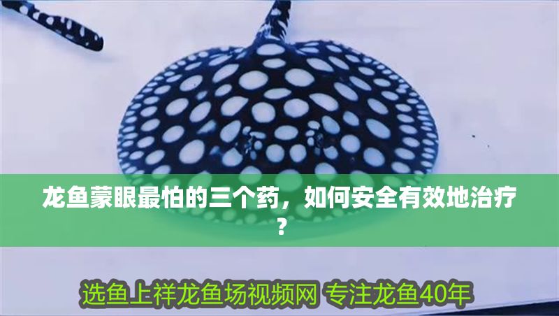 龍魚蒙眼最怕的三個(gè)藥，如何安全有效地治療？
