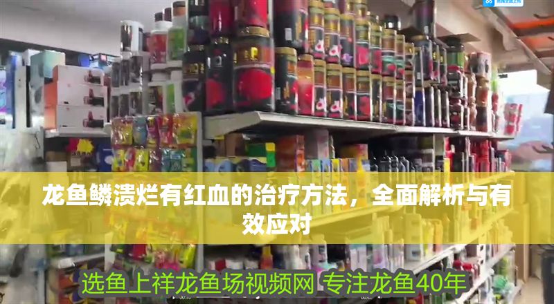 龍魚鱗潰爛有紅血的治療方法，全面解析與有效應對