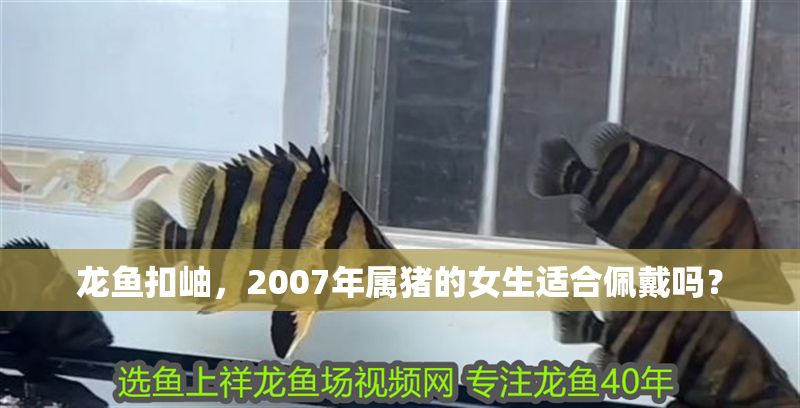 龍魚扣岫，2007年屬豬的女生適合佩戴嗎？