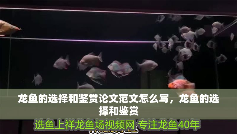 龍魚的選擇和鑒賞論文范文怎么寫，龍魚的選擇和鑒賞