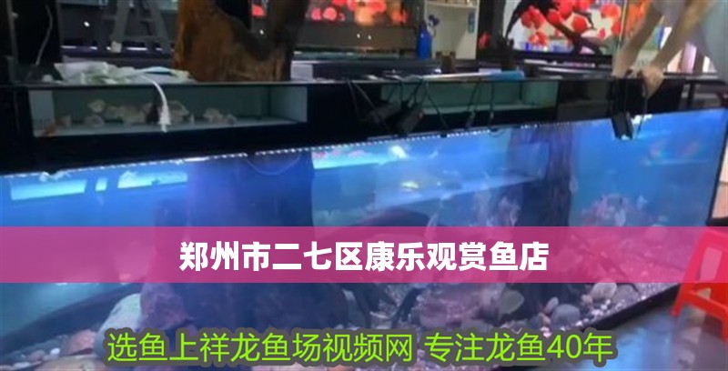 鄭州市二七區康樂觀賞魚店