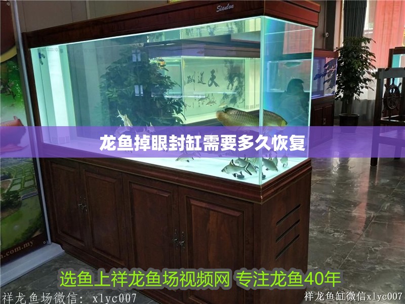 龍魚(yú)掉眼封缸需要多久恢復(fù)
