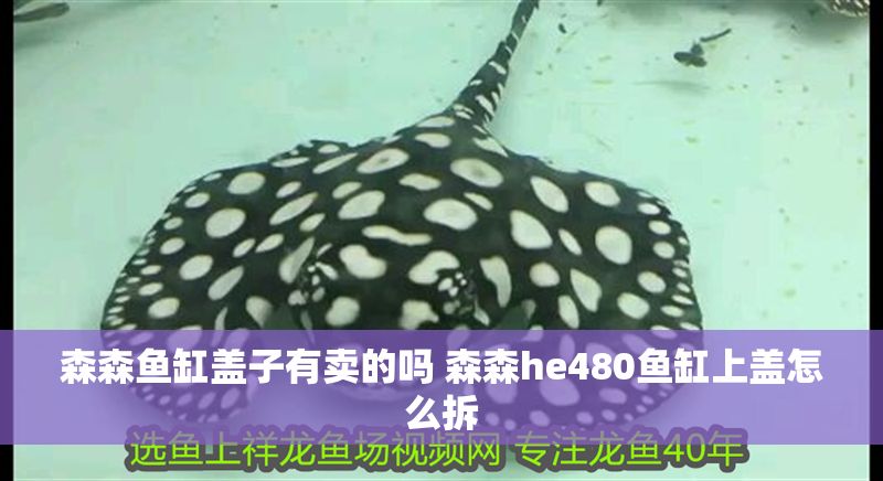 森森魚缸蓋子有賣的嗎 森森he480魚缸上蓋怎么拆