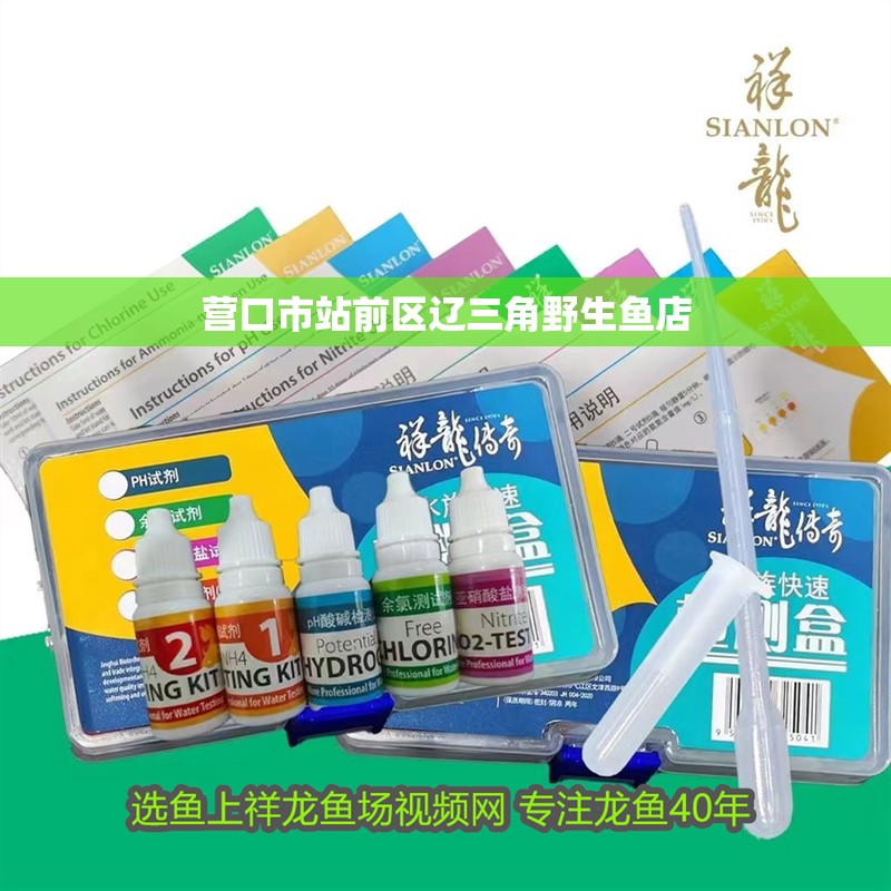 營口市站前區(qū)遼三角野生魚店