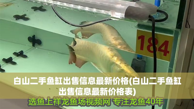 白山二手魚缸出售信息最新價格(白山二手魚缸出售信息最新價格表)