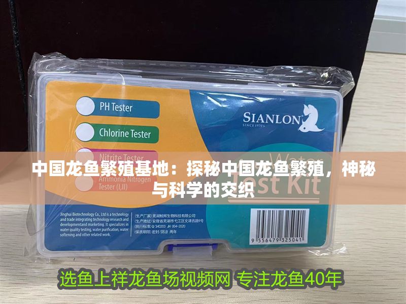 中國龍魚繁殖基地：探秘中國龍魚繁殖，神秘與科學的交織