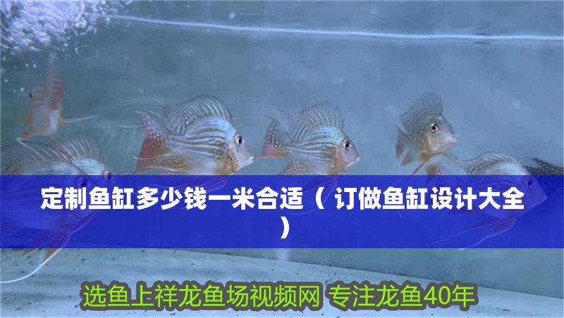 定制魚缸多少錢一米合適( 訂做魚缸設計大全) 全國水族館企業名錄 第1張 定制魚缸多少錢一米合適( 訂做魚缸設計大全) 定制魚缸多少錢一米合適( 訂做魚缸設計大全) 全國水族館企業名錄 第1張