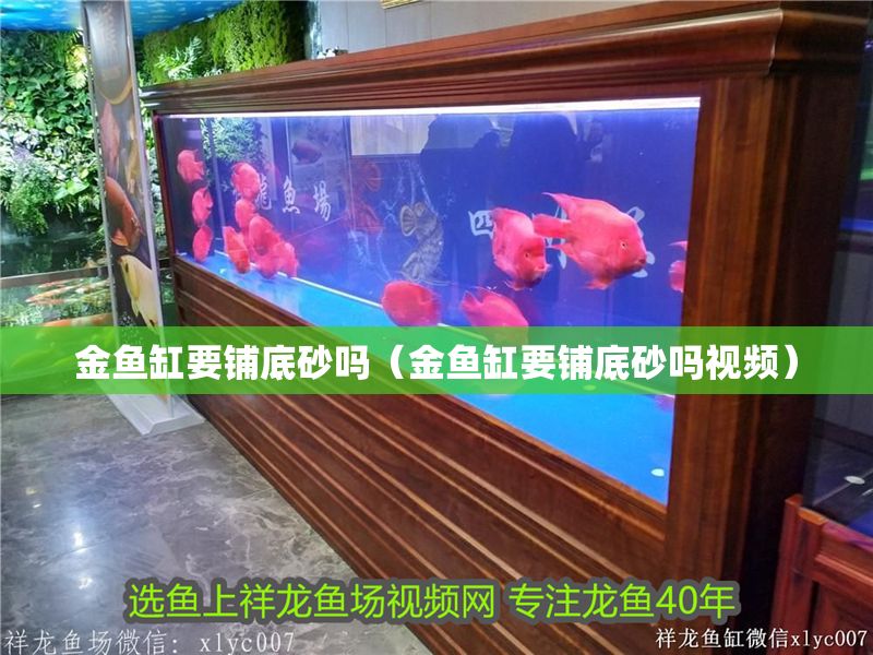 金魚缸要鋪底砂嗎（金魚缸要鋪底砂嗎視頻）