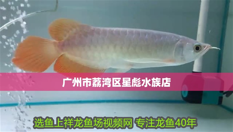 廣州市荔灣區星彪水族店
