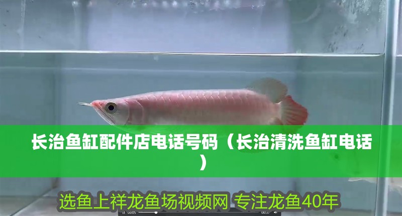 長治魚缸配件店電話號碼（長治清洗魚缸電話） 長治魚缸配件店電話號碼（長治清洗魚缸電話） 全國水族館企業名錄 第1張