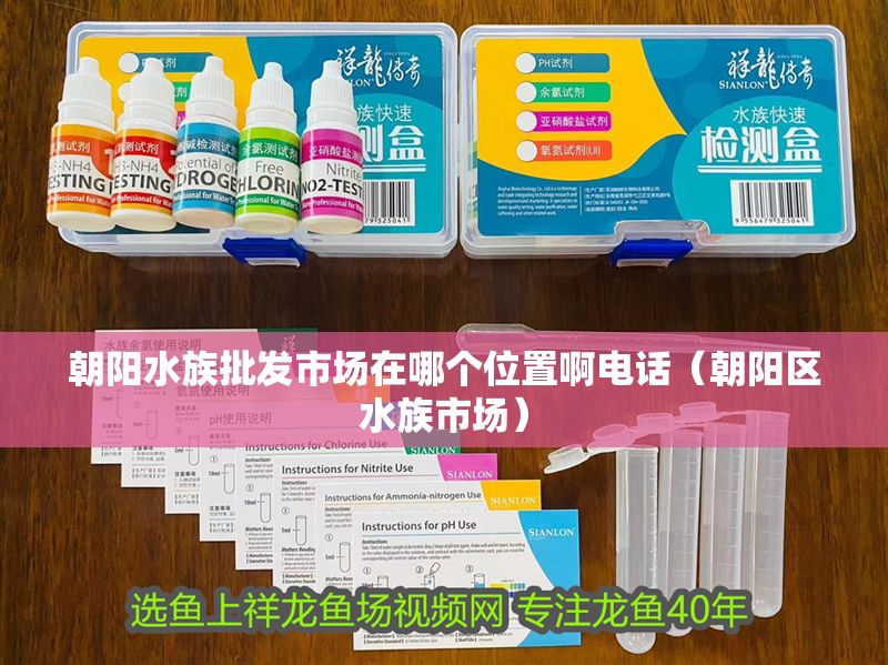 朝陽(yáng)水族批發(fā)市場(chǎng)在哪個(gè)位置啊電話(huà)（朝陽(yáng)區(qū)水族市場(chǎng)）