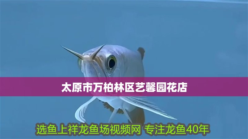太原市萬柏林區(qū)藝馨園花店