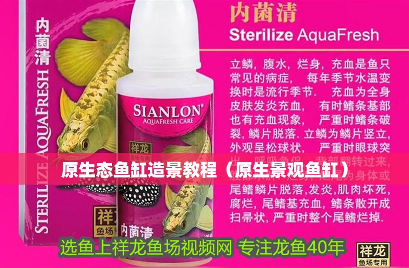 原生態魚缸造景教程（原生景觀魚缸） 原生態魚缸造景教程（原生景觀魚缸） 龍魚百科 第1張