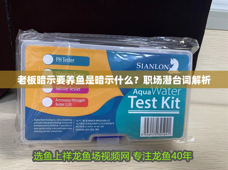 老板暗示要養魚是暗示什么？職場潛臺詞解析
