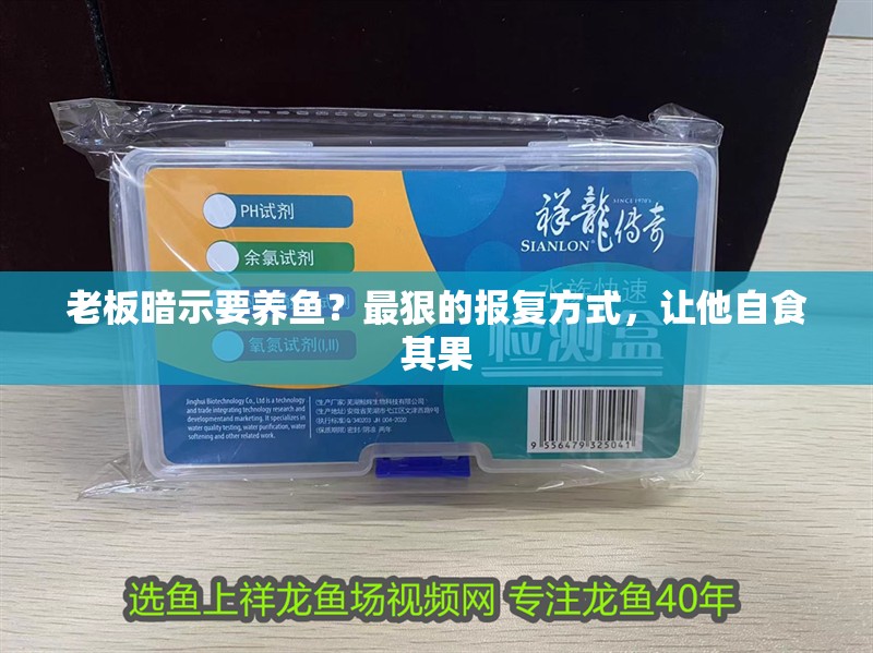 老板暗示要養魚？最狠的報復方式，讓他自食其果