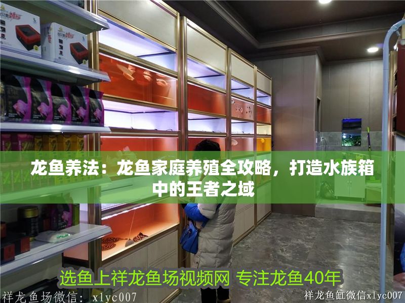 龍魚養法：龍魚家庭養殖全攻略，打造水族箱中的王者之域