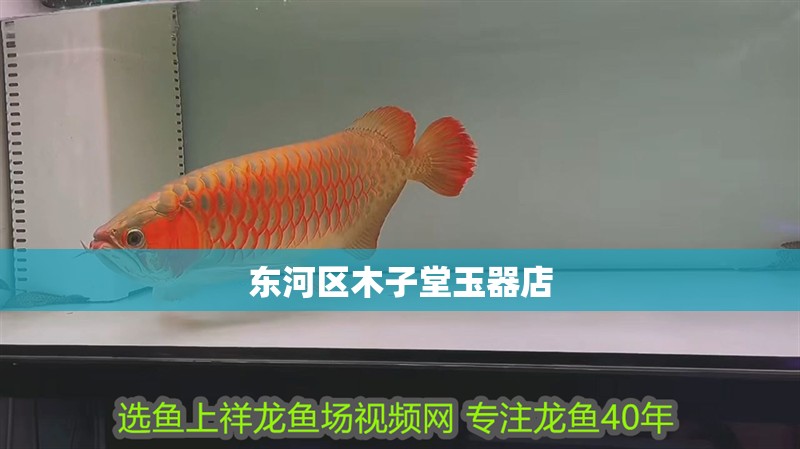 東河區木子堂玉器店 東河區木子堂玉器店 全國水族館企業名錄 第1張