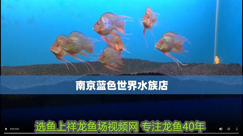 南京藍色世界水族店