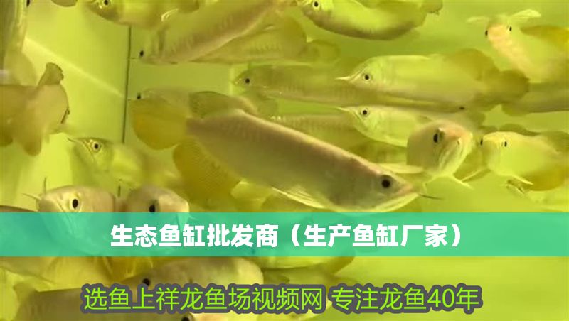 生態魚缸批發商（生產魚缸廠家）