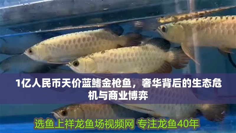 1億人民幣天價藍鰭金槍魚，奢華背后的生態危機與商業博弈