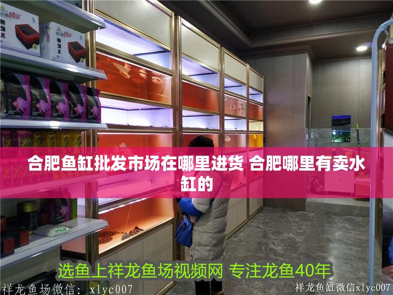 合肥魚缸批發市場在哪里進貨 合肥哪里有賣水缸的