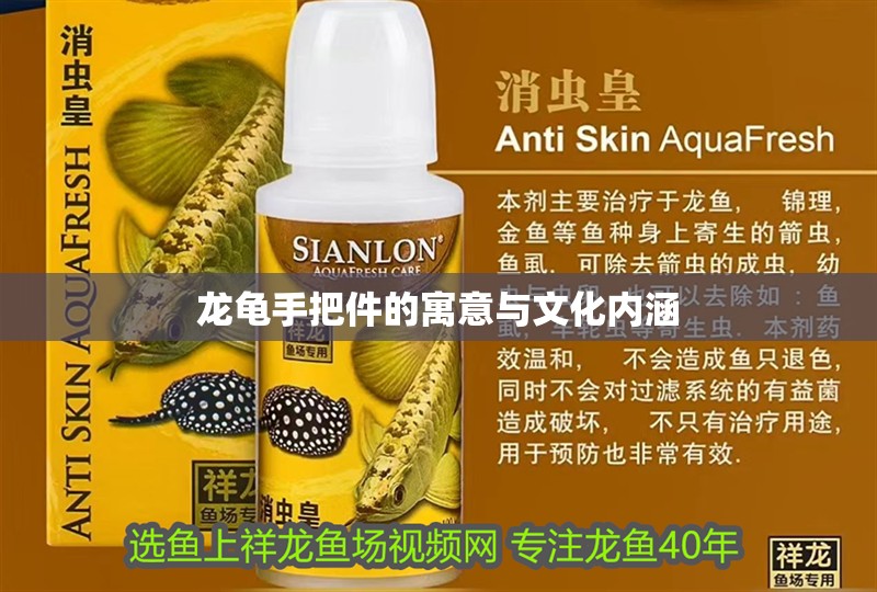 龍龜手把件的寓意與文化內涵 龍龜手把件的寓意與文化內涵 龍魚百科 第1張