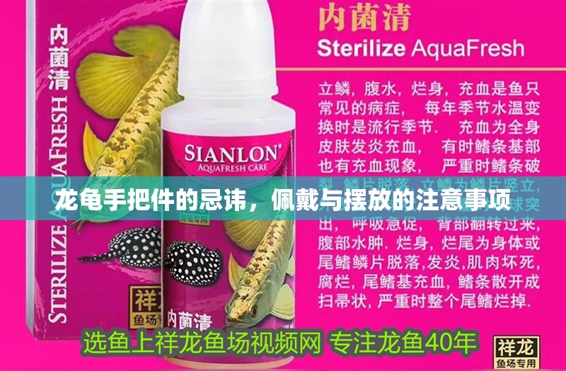 龍龜手把件的忌諱,佩戴與擺放的注意事項 龍魚百科 第1張 龍龜手把件的忌諱,佩戴與擺放的注意事項 龍龜手把件的忌諱,佩戴與擺放的注意事項 龍魚百科 第1張