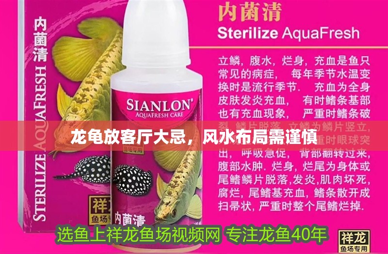 龍龜放客廳大忌，風(fēng)水布局需謹(jǐn)慎