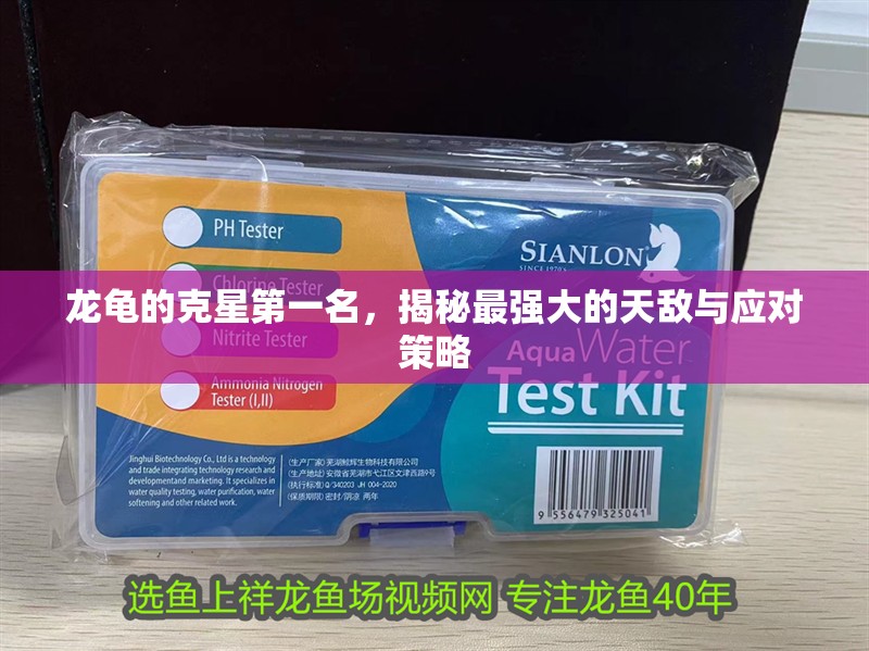 龍龜的克星第一名，揭秘最強大的天敵與應對策略