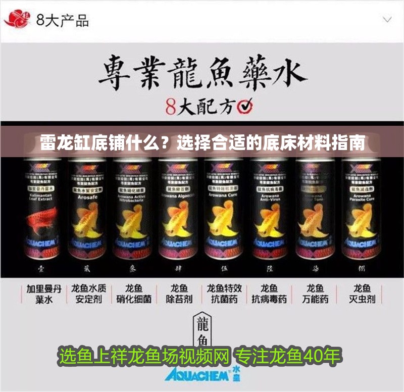 雷龍缸底鋪什么？選擇合適的底床材料指南 雷龍缸底鋪什么？選擇合適的底床材料指南 龍魚百科 第1張