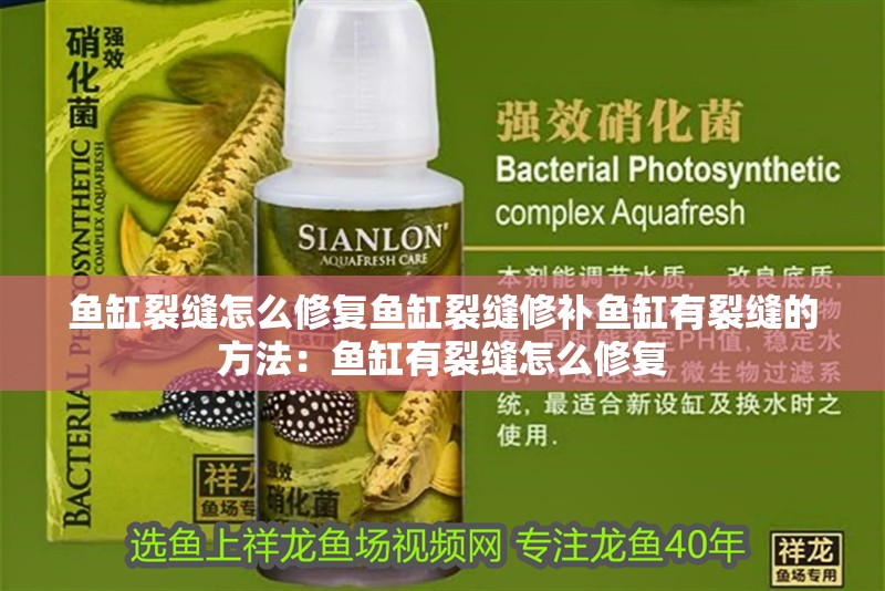 魚缸裂縫怎么修復魚缸裂縫修補魚缸有裂縫的方法：魚缸有裂縫怎么修復