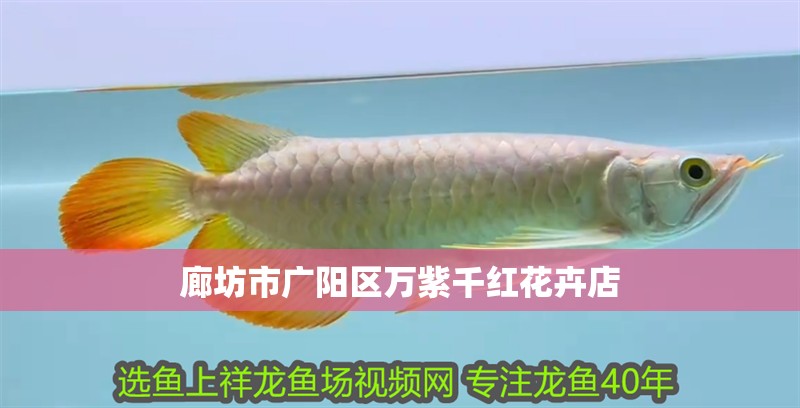 廊坊市廣陽區萬紫千紅花卉店
