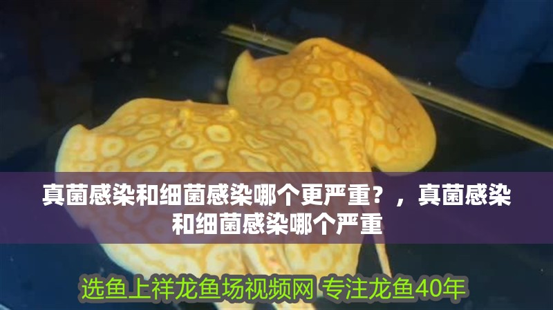 真菌感染和細菌感染哪個更嚴重？，真菌感染和細菌感染哪個嚴重