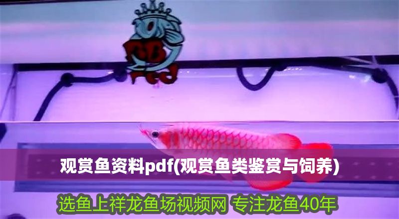 觀賞魚資料pdf(觀賞魚類鑒賞與飼養(yǎng))