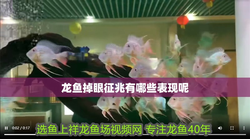 龍魚掉眼征兆有哪些表現呢 龍魚掉眼征兆有哪些表現呢 龍魚百科 第1張
