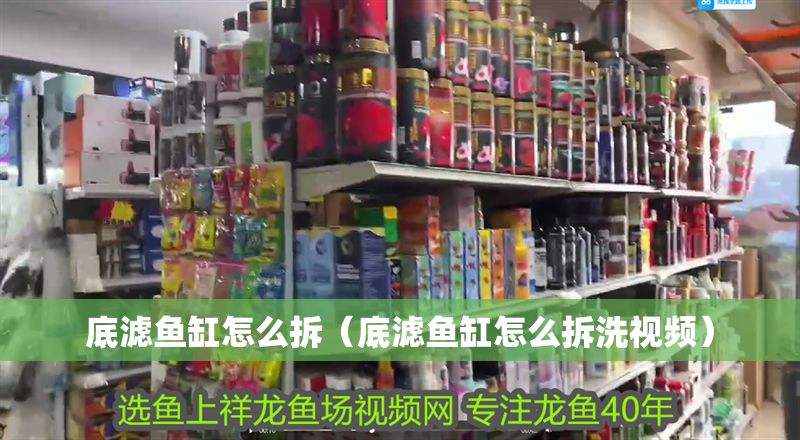 底濾魚缸怎么拆（底濾魚缸怎么拆洗視頻）